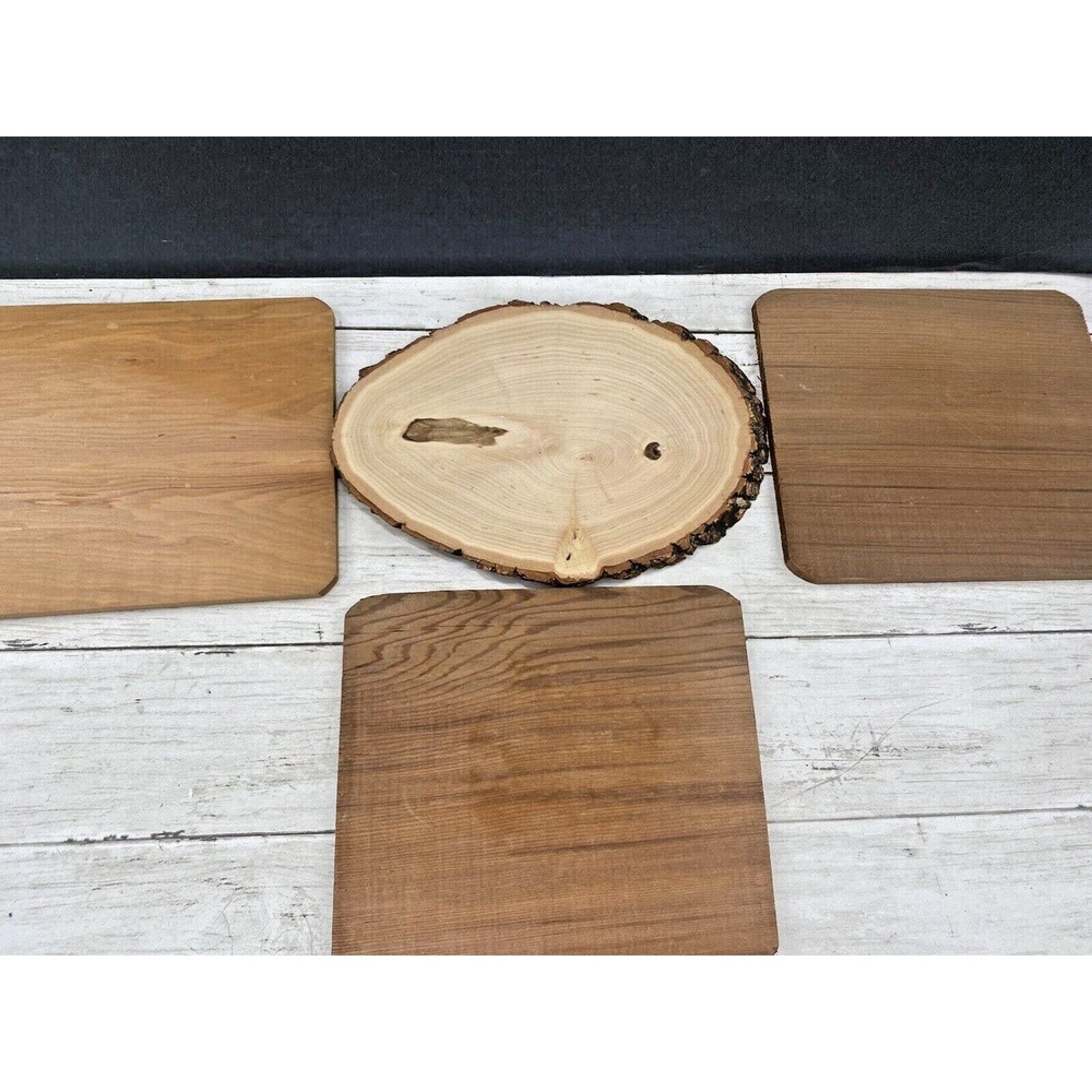 Lot of 4 Smoking or Grilling Planks Grilling Salmon Fish Meat and Veggies